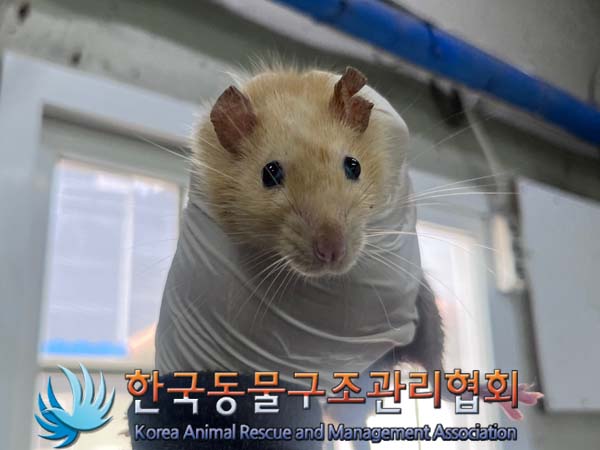 한국동물구조관리협회_411311202400826